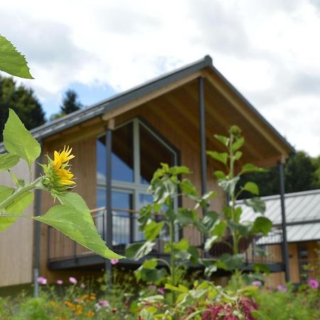 Frongahof Villa Waldkirchen Kültér fotó